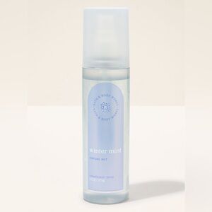 Bath & Body Works Winter Mint Perfume Mist - Light Blue